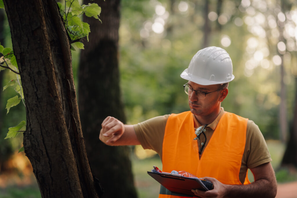 chicago tree trimming